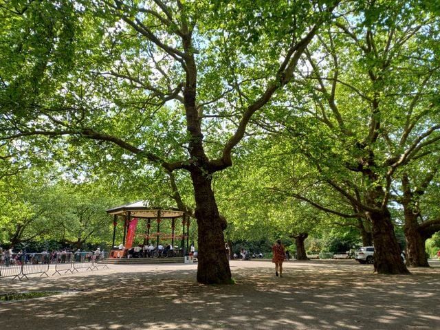 A sunny park scene with large leafy trees providing shade—perfect for those considering living in Clapham. In the background, people gather by a bandstand with red banners, whilst a person strolls alone on a wide, sunlit path.